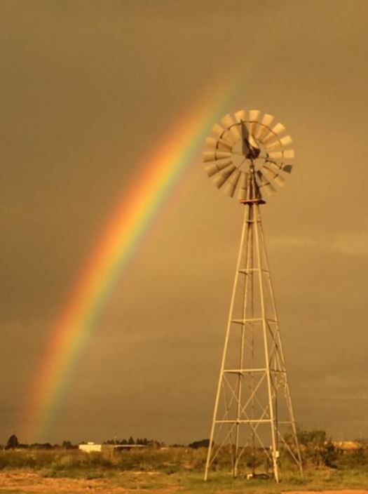 About Our Water Well 